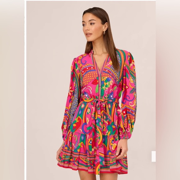 Adrianna Papell Long Sleeve Retro Printed A Line Dress In Pink Multi Size 8 NWT - Picture 2 of 16